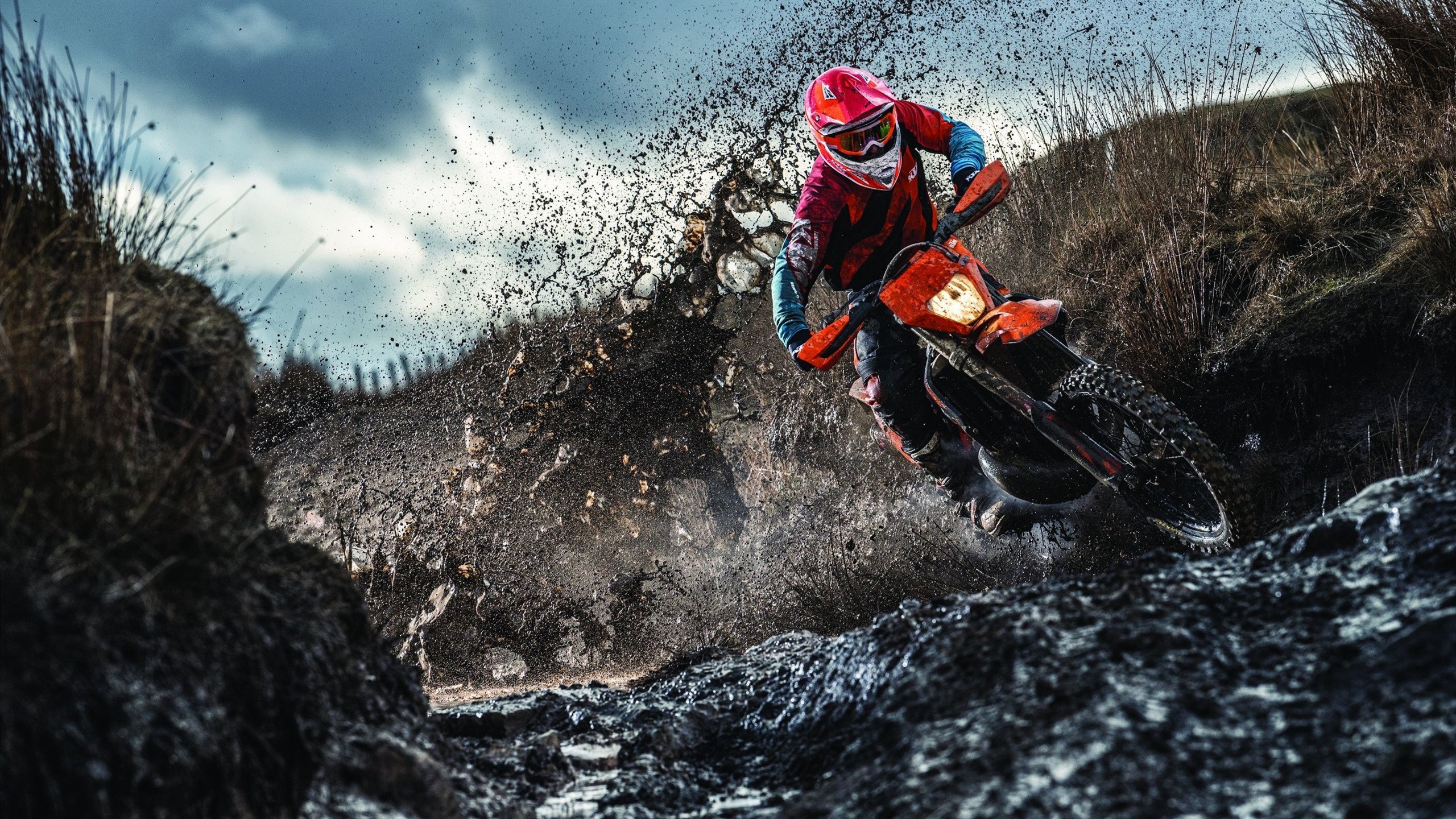 鹈鹕爆冷掀翻森林狼，福克斯关键一投锁定胜局